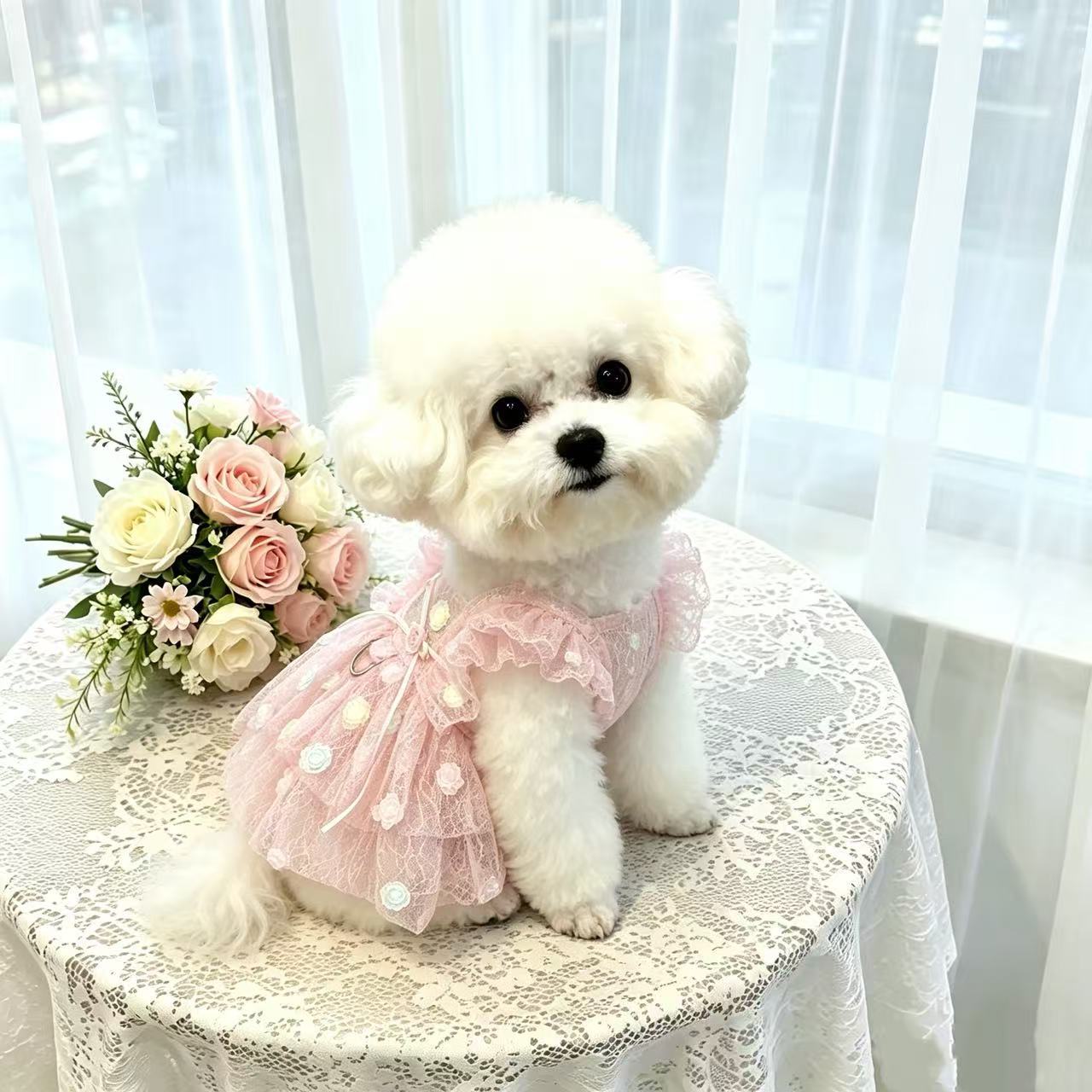 Summer Rose Clothing - Весенне-летнее шифоновое платье для собак с