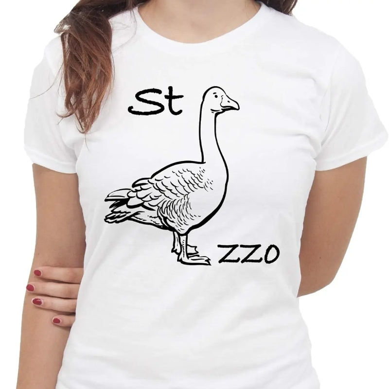 Summer Clothing Images - Футболка IMage Goose Rebus, забавная футболка,